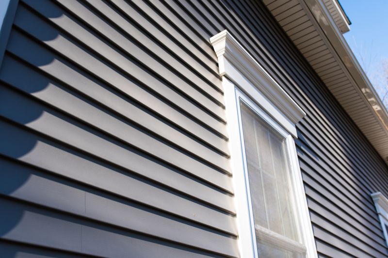 Professional Vinyl Siding Installer